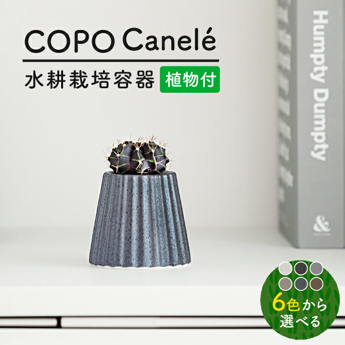 【ふるさと納税】【美濃焼】＜色が 選べる＞COPO（カヌレ）植物付き【大東亜窯業】インテリア 雑貨 観葉植物 [MAG074]