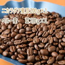 【ふるさと納税】C-9 カフェ・フランドル厳選コーヒー豆　ニカラグア産(200g×1)ペルー産(200g×1)