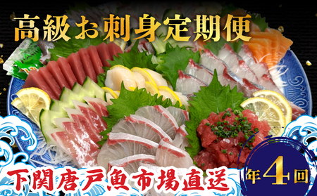 定期便 4回 唐戸市場直送 お刺身 各2人前 冷凍 刺身 刺身 刺身 EY031