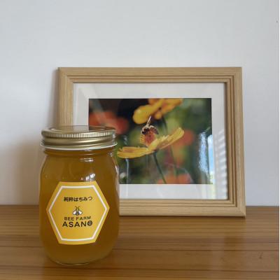 ふるさと納税 瑞浪市 純粋ハチミツ(山桜500g×1)