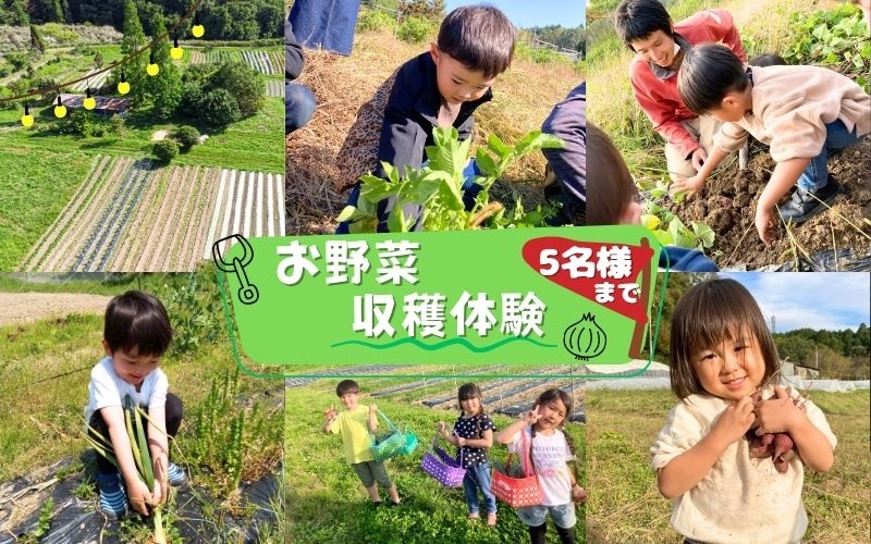 
農園はなうた お野菜収穫体験券 5名様まで
