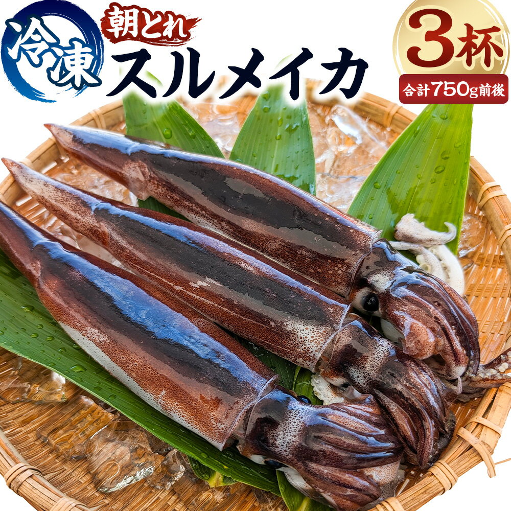 【ふるさと納税】【便利な個包装】朝とれスルメイカ 3杯セット（3杯×約200～約300g）約750g前後 高鮮度3D凍結 スルメ するめ するめいか いか イカ 烏賊 個包装 冷凍 国産 兵庫県 新温泉町 送料無料