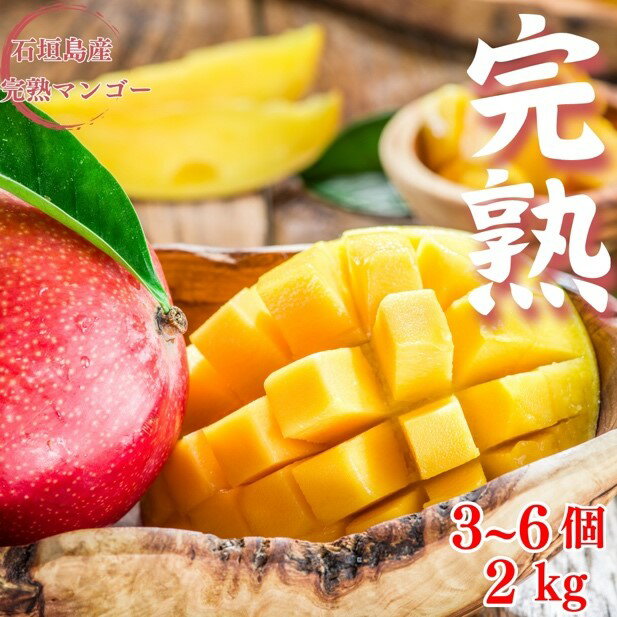 【ふるさと納税】【先行予約】【石垣島産アップルマンゴー】完熟マンゴー 内容量2kg (3～6個入り)化粧箱入り《2025年6月末〜7月下旬発送》｜ 産地直送 沖縄 石垣 フルーツ マンゴー アップルマンゴー 完熟マンゴー SI-56-1