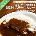 【ふるさと納税】淡路牛ステーキカレー(中辛)　250g×20食セット