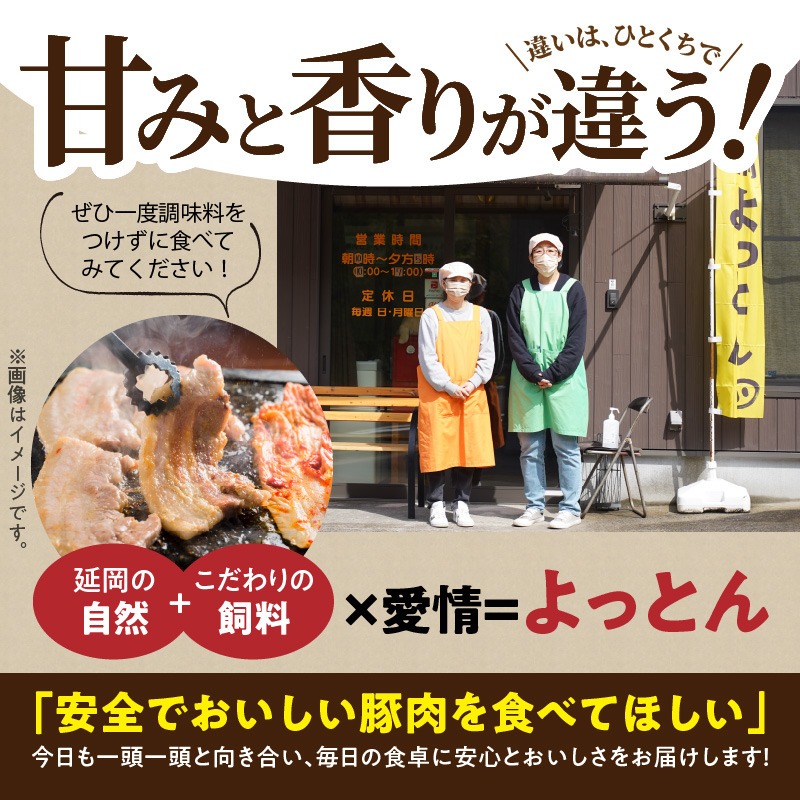 延岡よっとん肩ロースブロック約1㎏ N003-YZA330-1