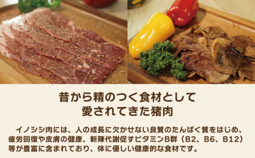 【6回定期便】ジビエ 天然イノシシ肉 ハラ肉スライス 1kg【照本食肉加工所】 [OAJ053]