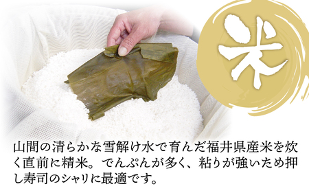 贅沢なご褒美寿司 若狭ぐぢ昆布〆寿司 [B-013021] / タイ 甘鯛 香魚 高級 押し寿司 海鮮 福井県産米 懐石料理 冷蔵配送 四季食彩 萩 送料無料 鯛 たい アマダイ 尼鯛 押し寿司 寿司