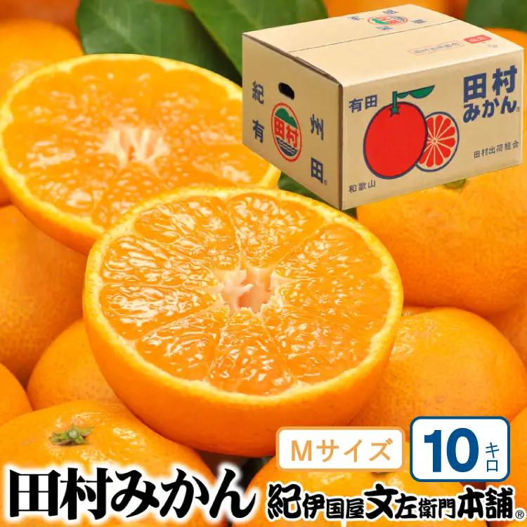 田村みかん 特選ギフト品 10kg【Mサイズ】赤秀/紀州和歌山有田郡湯浅町田村地区産 ◆2026年11月下旬～2027年1月中旬頃に順次発送予定(お届け日指定不可)　紀伊国屋文左衛門本舗【kstb303C】