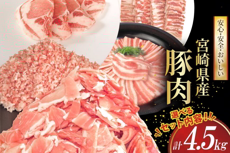 
            豚肉 宮崎県産 豚肉 選べる バラエティ セット 合計4.5kg [南九フーズ 宮崎県 日向市 452061301] 切り落とし しゃぶしゃぶ 小分け バラ こま切れ ロース 詰め合わせ ミンチ 豚ミンチ とんかつ 焼肉 生姜焼き
          