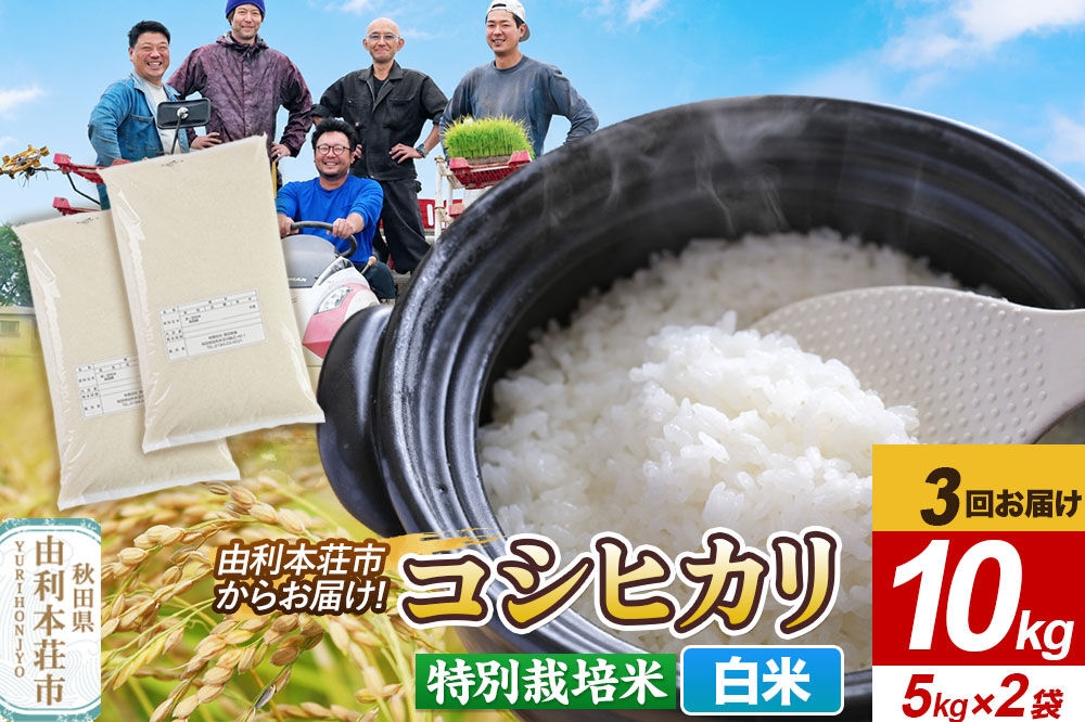 
                  《定期便3ヶ月》令和7年産【白米】特別栽培米 コシヒカリ 10kg（5kg×2袋） 秋田県産 [コシヒカリ 米 お米 こめ 白米 精米 ブランド米 特別栽培米 食卓 おにぎり 秋田県産 秋田]
                