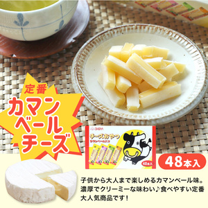 チーズ おやつ カマンベール 48本入り × 3箱｜珍味 おつまみ  【OGY004】