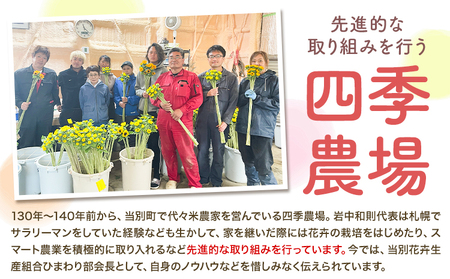 [1.5-281]チューリップ 切花 30本（3品種×各10本）四季農場 北海道 当別町 花 お花 チューリップ 切り花 切り花産地 