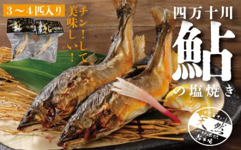 炭火でじっくり焼いた四万十川天然鮎の塩焼き(3～4匹) R5-838