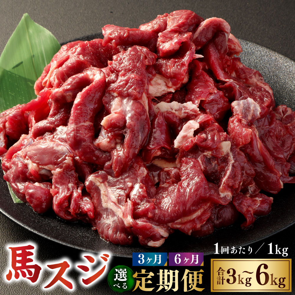【ふるさと納税】＜選べる定期便＞【3ヶ月または6ヶ月定期便】 馬スジ 1回あたり合計約1kg（約500g×2）馬肉 桜肉 すじ肉 スジ肉 煮込み料理 カレー 和風 洋風 冷凍 相良村 送料無料