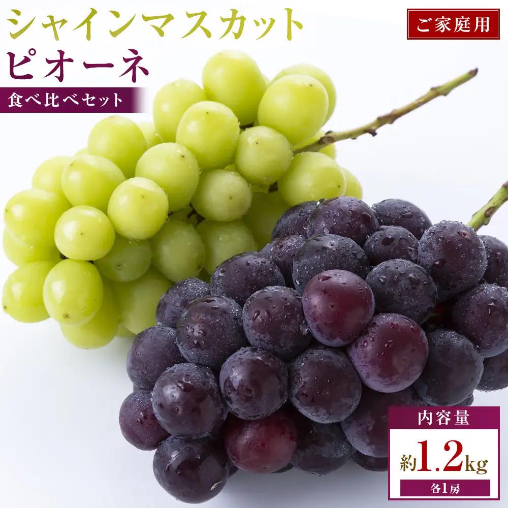 ご家庭用　シャインマスカット+ピオーネ食べ比べセット　約1.2kg(各1房)
