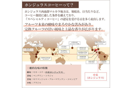 コーヒー豆 自家焙煎 ホンジュラス スペシャルティコーヒー 焙煎豆 200g 細挽き【コーラル】