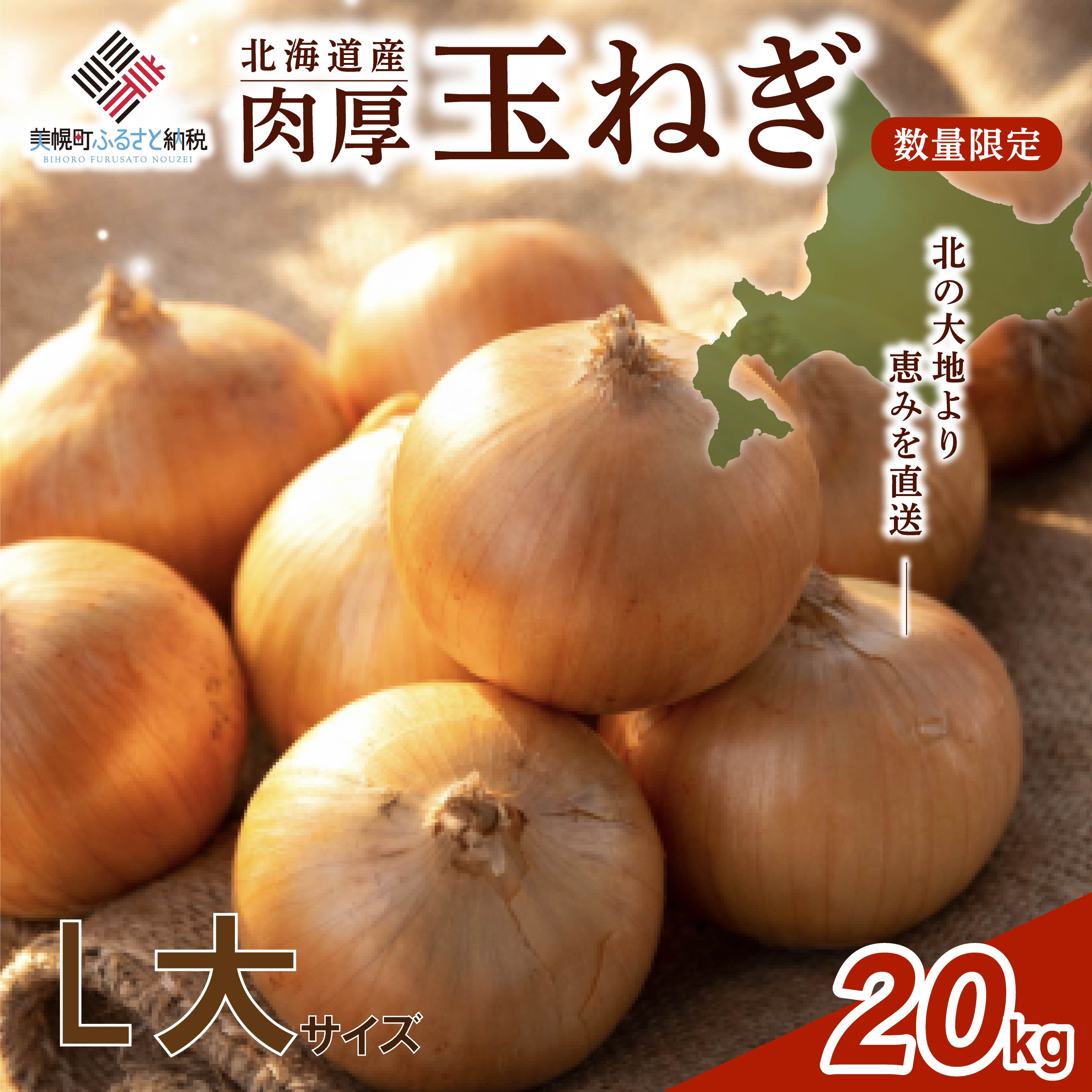 【ふるさと納税】 数量限定 玉ねぎ 20kg 【 先行予約 R8年度産 L大サイズ】 人気 ランキング 玉ねぎ 国産 野菜 北海道 美幌町