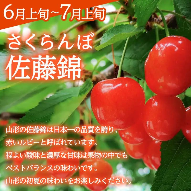 【定期便3回】みのりの山形～満喫定期便～ くだもの 果物 フルーツ 山形 山形県 山形市 FY23-905
