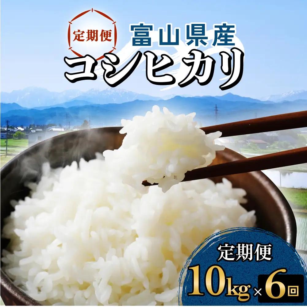 【6回定期便】富山県産 コシヒカリ 10kg 富山県 氷見市 米 コシヒカリ