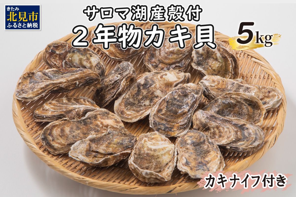 【予約：2025年10月より順次発送】【カキナイフ付】海のミルク サロマ湖産 殻付2年物カキ貝 5kg 35～50個入 ( 海鮮 魚介 魚介類 貝 貝類 カキ 牡蠣 贈答 ギフト BBQ バーベキュー )【031-0007-2025】