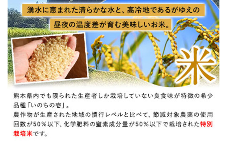 新米 令和6年産 米 いのちの壱(玄米)5kg 雑穀米 付き《30日以内に出荷予定(土日祝除く)》南阿蘇 虹色のかば---sms_inci6_30d_24_13000_g5kg---