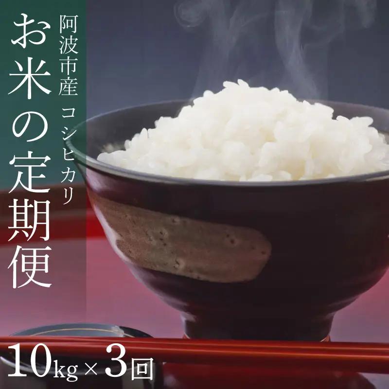 コシヒカリ 定期便 3回 10kg 令和8年産 【 お米 】