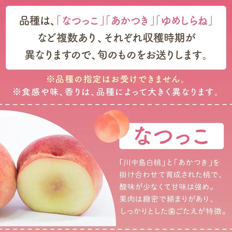 桃／フルーツ【数量限定】京都丹後産 桃 約2kg（6～8玉）（2026年7月中旬～発送）＜旬のおすすめ品種をお届け＞旬の桃・桃ギフト・もも・モモ・果物