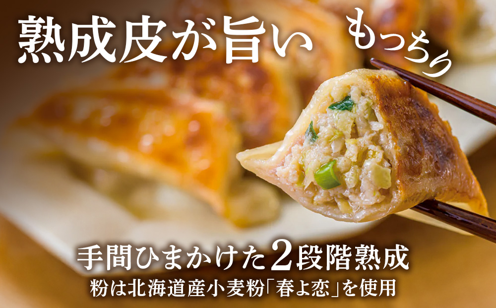 北海道餃子天のびろく とかちマッシュ12粒入 3箱