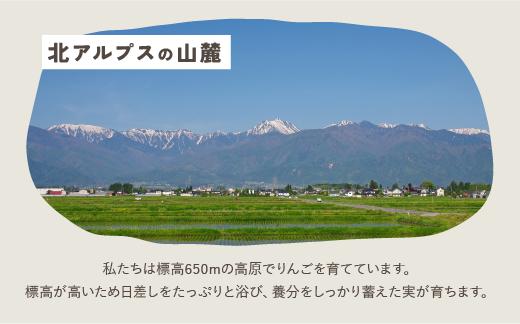 画像はイメージです