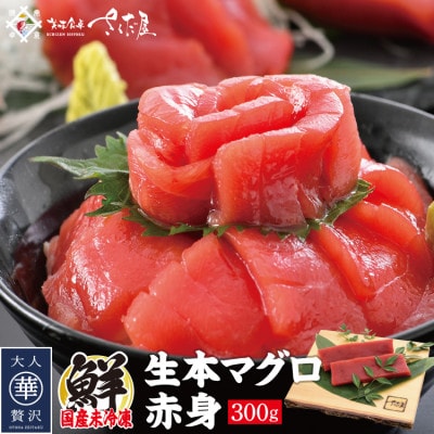「生本まぐろ」赤身 300g(2～3柵)【配送不可地域：離島・北海道・沖縄】【1299580】