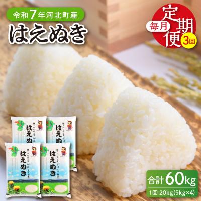 ふるさと納税 河北町 【令和7年産米】2026年4月下旬開始 はえぬき60kg(20kg×3ヶ月)定期便 山形県産
