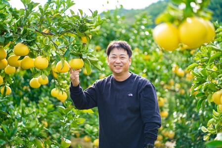 園主こだわりの土佐文旦　10kg  1月～3月発送 文旦 みかん 柑橘 ぶんたん ブンタン 果物 フルーツ お取り寄せ おいしい 美味しい 故郷納税 ふるさとのうぜい 返礼品 高知県 高知 