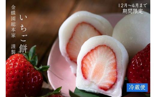 ＼冬季限定／ いちご大福 いちご餅 10個入 苺大福 苺 いちご イチゴ大福 もち 餅 お餅 和菓子 冬限定 限定 旬 スイーツ デザート 白あん あんこ プレゼント ギフト 贈り物 贈答 ご褒美 冬スイーツ 郭町 金蝶園総本家 岐阜県 大垣市