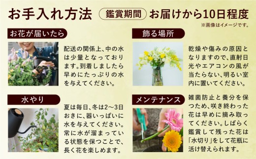 【定期便全6回】季節のフラワーアレンジメントM 【レッド】