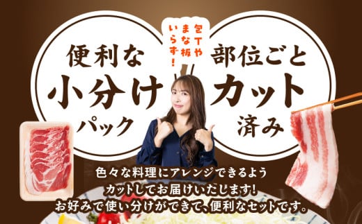 宮崎県産豚わくわく1.5kgセット(真空)≪みやこんじょ快速便≫_11-8401-s-R_(都城市) 豚肉 豚肉セット 宮崎県産豚 しゃぶしゃぶ バラ 焼肉 切り落とし 肩ローススライス ロース_イメ