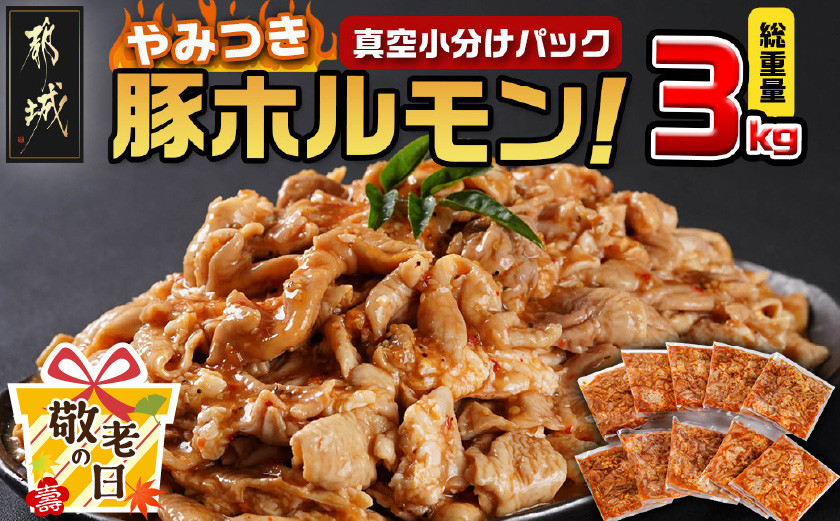 
            【敬老の日】やみつき豚ホルモン!3kg!真空小分けパック!≪9月11日～15日お届け≫_LG8-3303-KG_(都城市) 国産豚 ホルモン 味付き 300g×10P 3kg 小分け 真空パック 豚肉
          