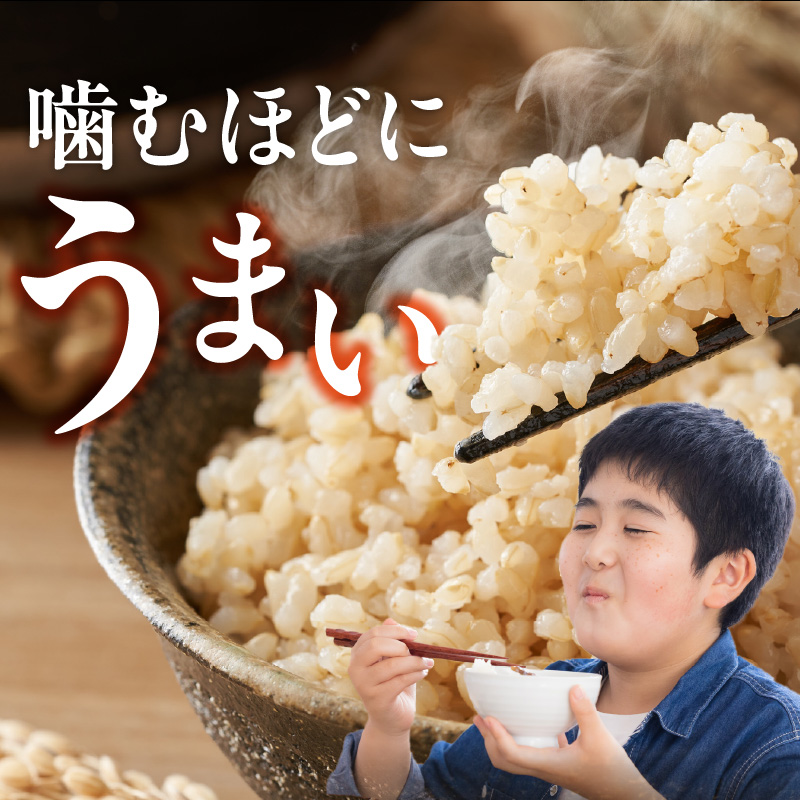 【定期便2回】【令和8年産 新米】福岡県産ブランド米元気つくし 玄米 10kg×2回 _  元気つくし 10kg お届け回数 2回 定期便 福岡県産 ブランド米 新米 福岡生まれ 品種 香り豊か ふっ
