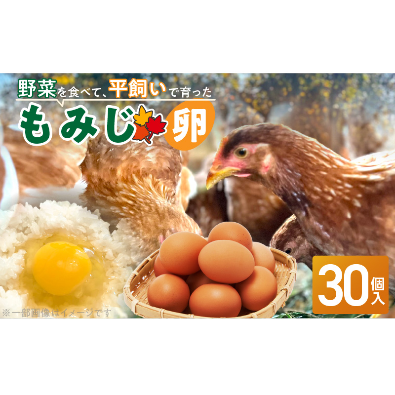【医師監修】野菜を食べて育った平飼いの卵「もみじ卵」（30個入り）［154T02］もみじ卵 30個 もみじ 卵 赤玉 コク 採れたて 平飼い 玉子 卵焼き 目玉焼き サンドイッチ オムライス