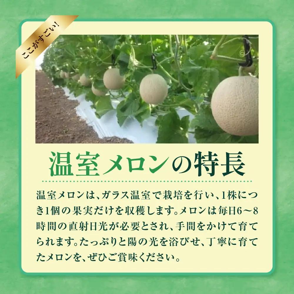 先行予約 令和8年産 温室メロン マスクメロン 2玉 約3～4kg