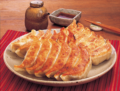 【定期便6ヶ月】宇都宮餃子 宇味家のぎょうざ　(生冷凍)　[20g×24個入り 2箱×6ヶ月]
