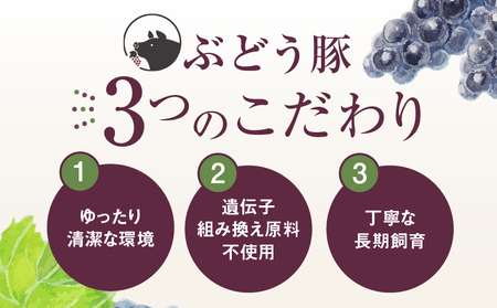 綾ぶどう豚のバラ＆ロースお試しセット（22-28）