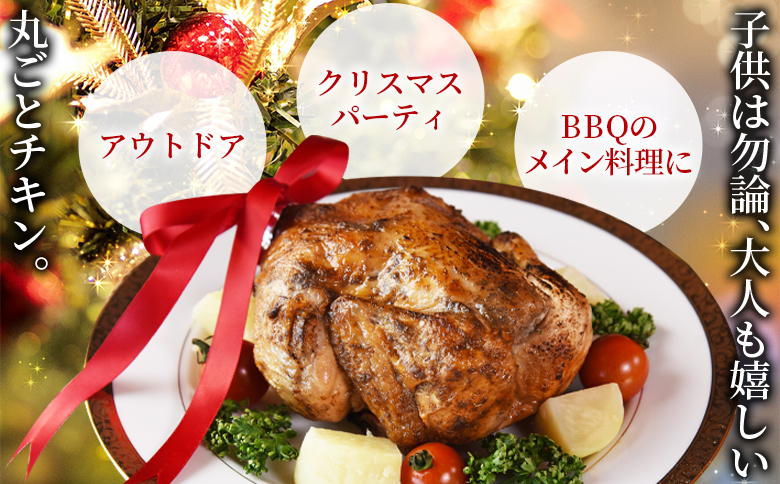 【予約受付】数量期間限定＜クリスマスローストチキン（塩味）1羽＞2025年12月10日〜20日迄に順次出荷【 国産 鶏 鶏肉 チキン 加工品 惣菜 お祝い パーティー ホームパーティー アウトドア B