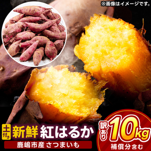 【ふるなびWEEK対象】【先行予約】【2025年10月以降発送】【訳あり】 紅はるか さつまいも 計 約10kg (8kg+約25%補償分) 新鮮 土付き【サツマイモ 紅はるか 茨城県 鹿嶋市 10000円以下】（KAM-24）FN-Limited