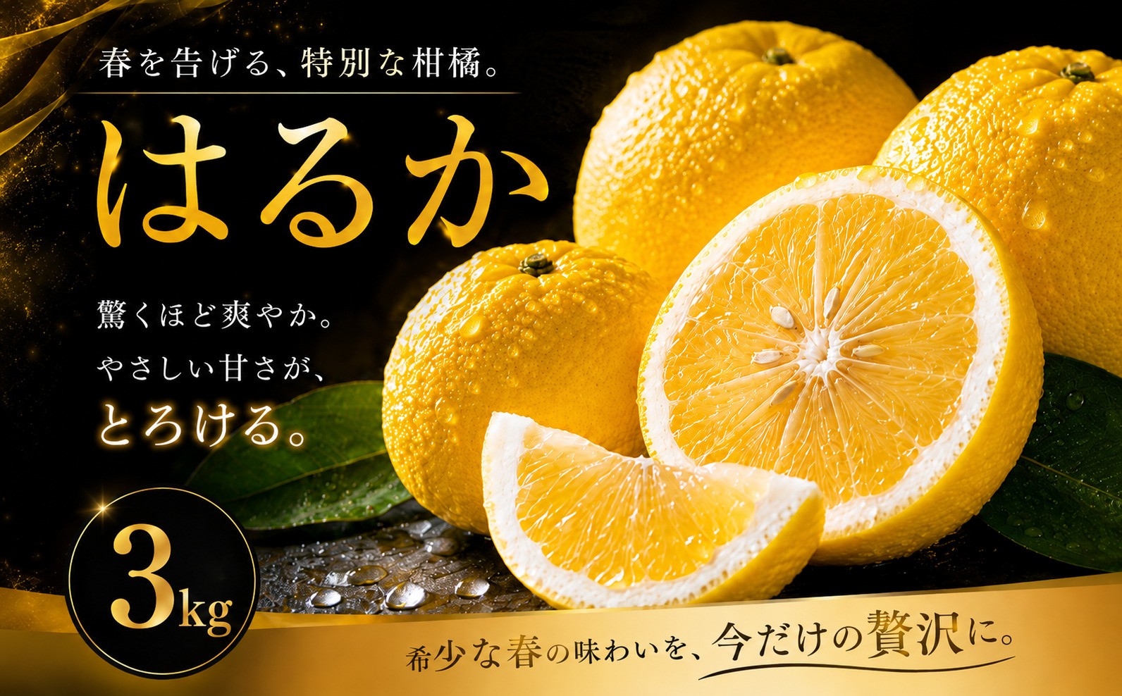 
                  【選ぶならこれ】 酸味ほぼなし 【はるか】 3kg 愛媛県産 【2027年2月上旬頃から順次発送】 | みかん ミカン mikan 蜜柑 訳ありフルーツ 柑橘 果物 おすすめ お勧め お取り寄せ ギフト 愛媛県 松山市
                