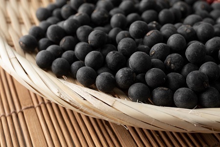 丹波黒大豆 Lサイズ 900g （300g×3袋） 黒大豆 黒豆