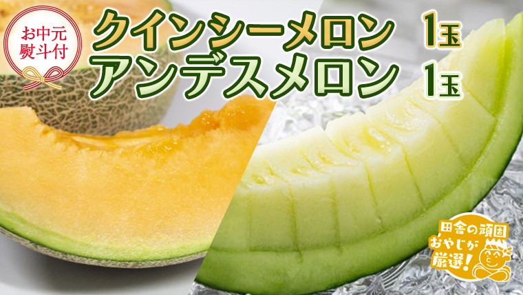 
                  【 お中元 熨斗 付】 クインシーメロン 1個 アンデスメロン 1個 【2026年8月より発送開始】 田舎の頑固おやじが厳選！ メロン お中元 ギフト 高糖度
                