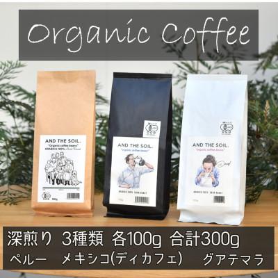 ふるさと納税 福岡市 AND THE SOIL.オーガニックコーヒー豆GUA/MEX/PER 深煎り各100g ME14