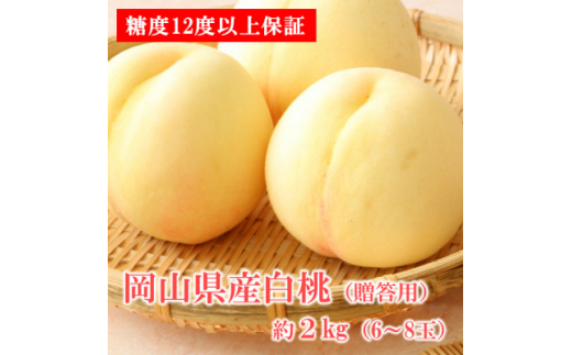 ＜糖度12度以上保証＞岡山県産白桃　約2kg(6～8玉)(贈答用)【1507936】