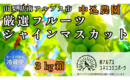 ＜2026年発送先行予約＞ 山梨県南アルプス市産 厳選シャインマスカット 3kg ALPEM011