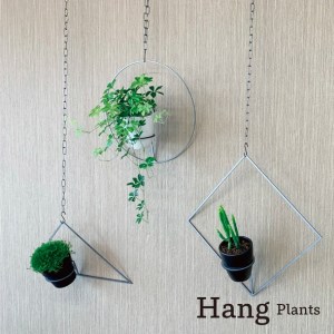 GRAVIRoN Hang Plants シリーズ Triangle 酸洗鉄（プランツハンガー） 観葉植物 プランター